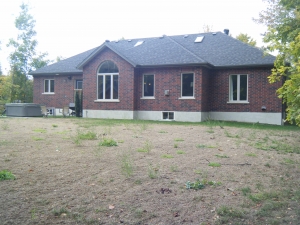 estate-bungalow-backyard-before-2