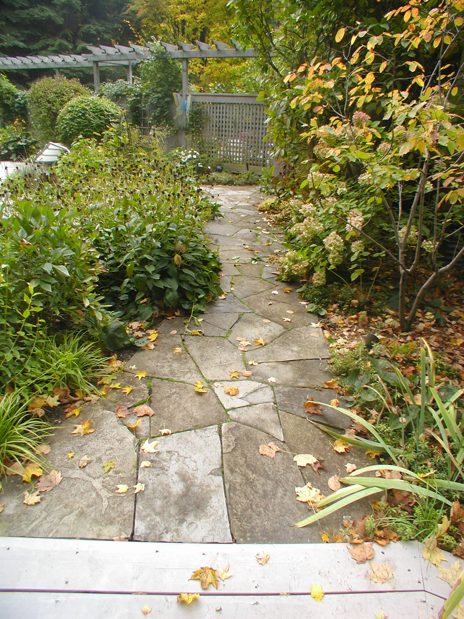 astonishing-flagstone-garden-walkway
